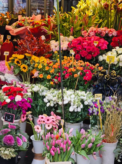 A vibrant display of fresh flowering plants and bouquets at a flower shop, featuring a variety of colorful blooms including pink and purple tulips, white and pink gerbera daisies, yellow sunflowers, a
