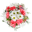 This expertly arranged bouquet conjures the gentle resurgence of spring in Hanwell, brightening rooms with cheerful white daisies at its centre, their golden-green hearts beaming amid the ruffled coral-pink elegance of carnations. Airy sprays of gypsophila dance like distant stars, while subtle blush-hued alstroemeria and matte eucalyptus leaves add nuanced fragrance and delicate architecture that reflect the tranquil corners of Brent Lodge Park. The blend of crisp whites, soft pinks, and lush greens creates a palette that uplifts the spirit-an exuberant yet calming tribute from Hanwell's talented floral artisans. Radiating effortless beauty and heartfelt intention, the arrangement seems to open toward the light, carrying the promise of new beginnings and joyful celebration. Thoughtful and versatile, it is an ideal choice for marking milestones, sending gratitude, or simply brightening a friend's windowsill overlooking Hanwell's tree-lined streets. Every detail attests to the care and creativity of the florists, making this bouquet a timeless expression of Hanwell's community heart.
